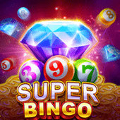 Super Bingo Ario game